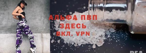 дмт Белокуриха