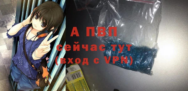 дмт Белокуриха