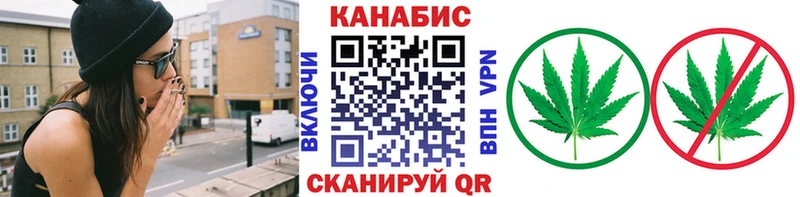 Марихуана сатива  как найти наркотики  Пионерский 